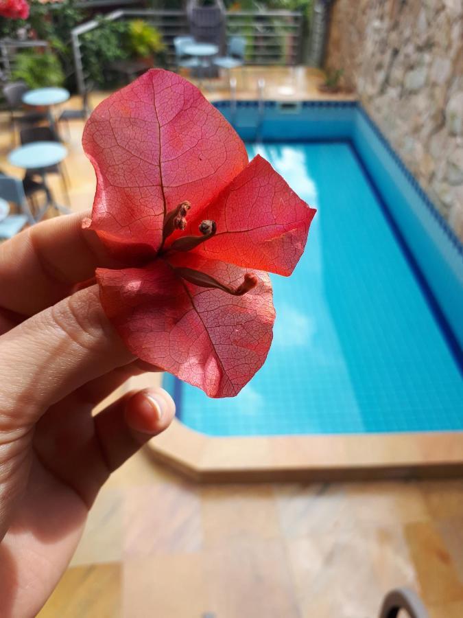 Letto Hotel Jurere Guest House Florianópolis المظهر الخارجي الصورة
